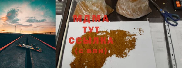 индика Алзамай