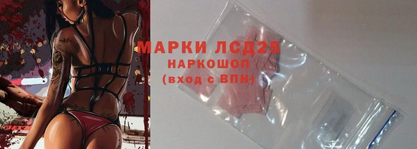 индика Алзамай