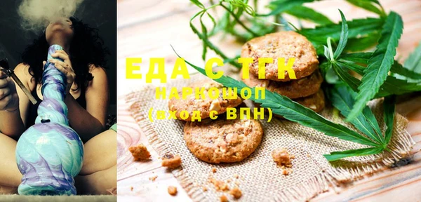 индика Алзамай