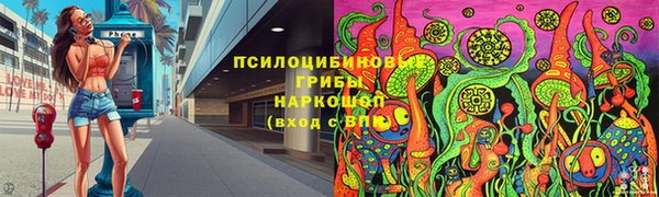 индика Алзамай