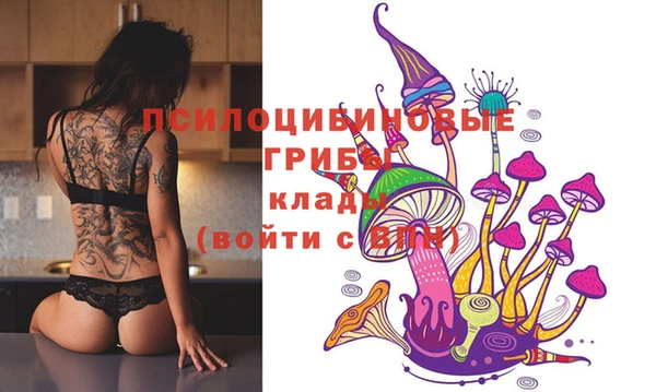 индика Алзамай