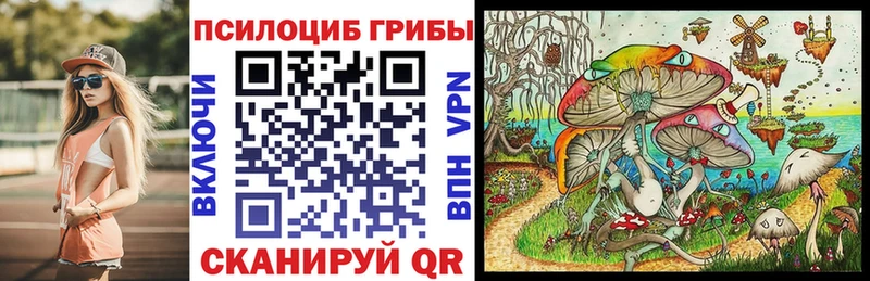 наркота  Юхнов  Псилоцибиновые грибы прущие грибы 